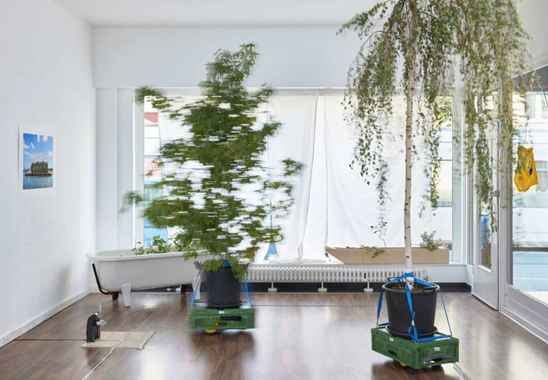 Jukai-Ryokō, autonomously moving trees, installation view, 2020, photo: Kai Werner Schmidt