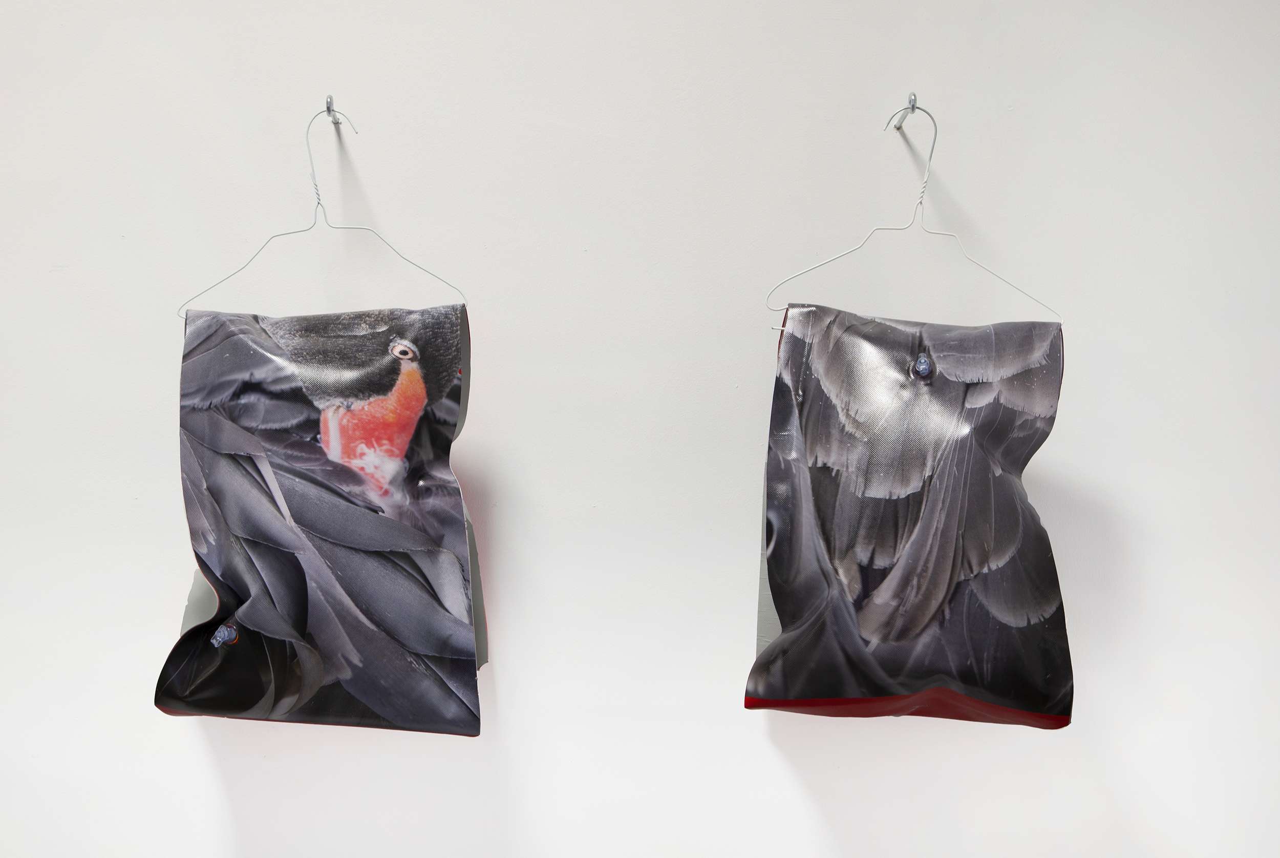 Medusa : floating body #3, floating wings, printed PVC, 30x20x15cm, installation view, 2020