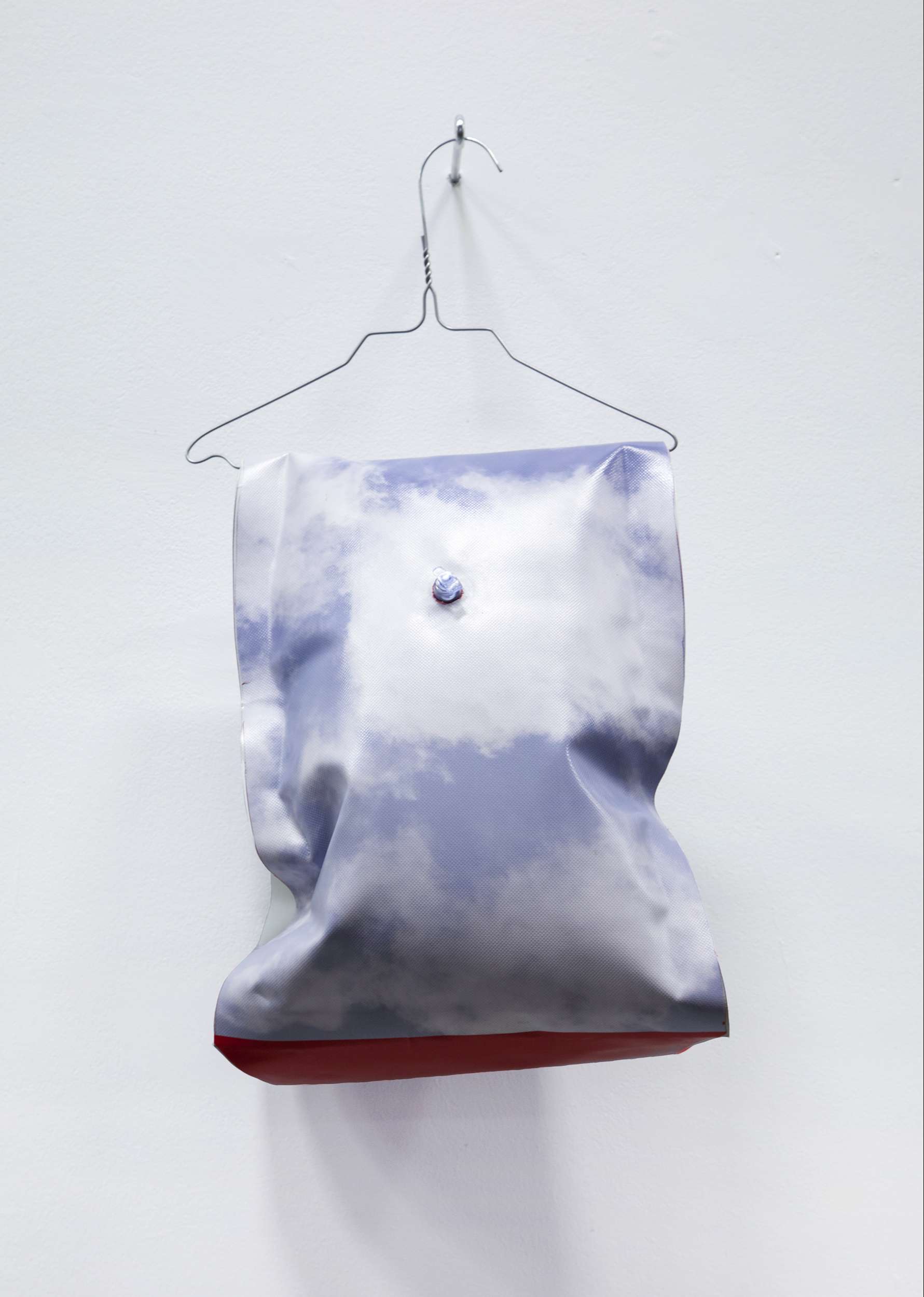 Medusa : floating body #3, floating wings, printed PVC, 30x20x15cm, installation view, 2020