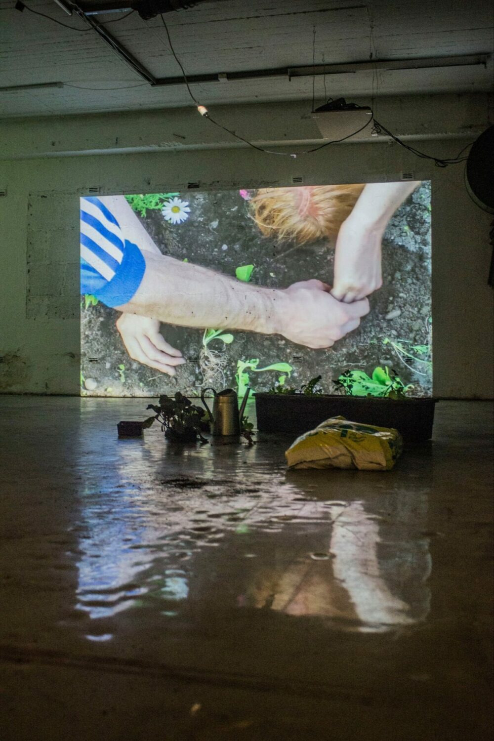 Kaffee und Haut #1, installation view at Hotel Friends / antichambre, 2019