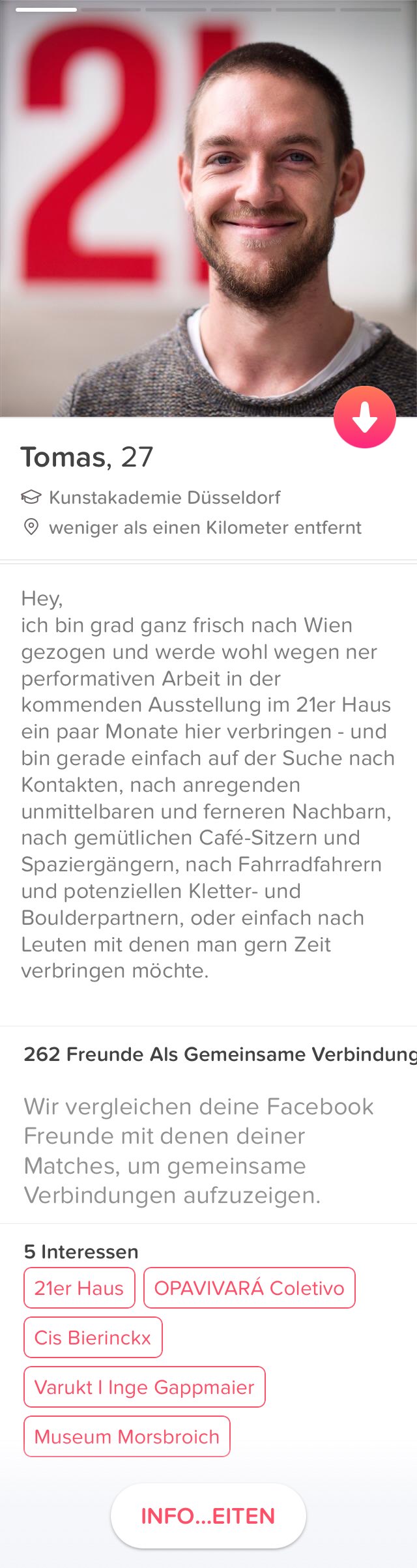 Verbindungsstück #2, tinder-app view, 2017