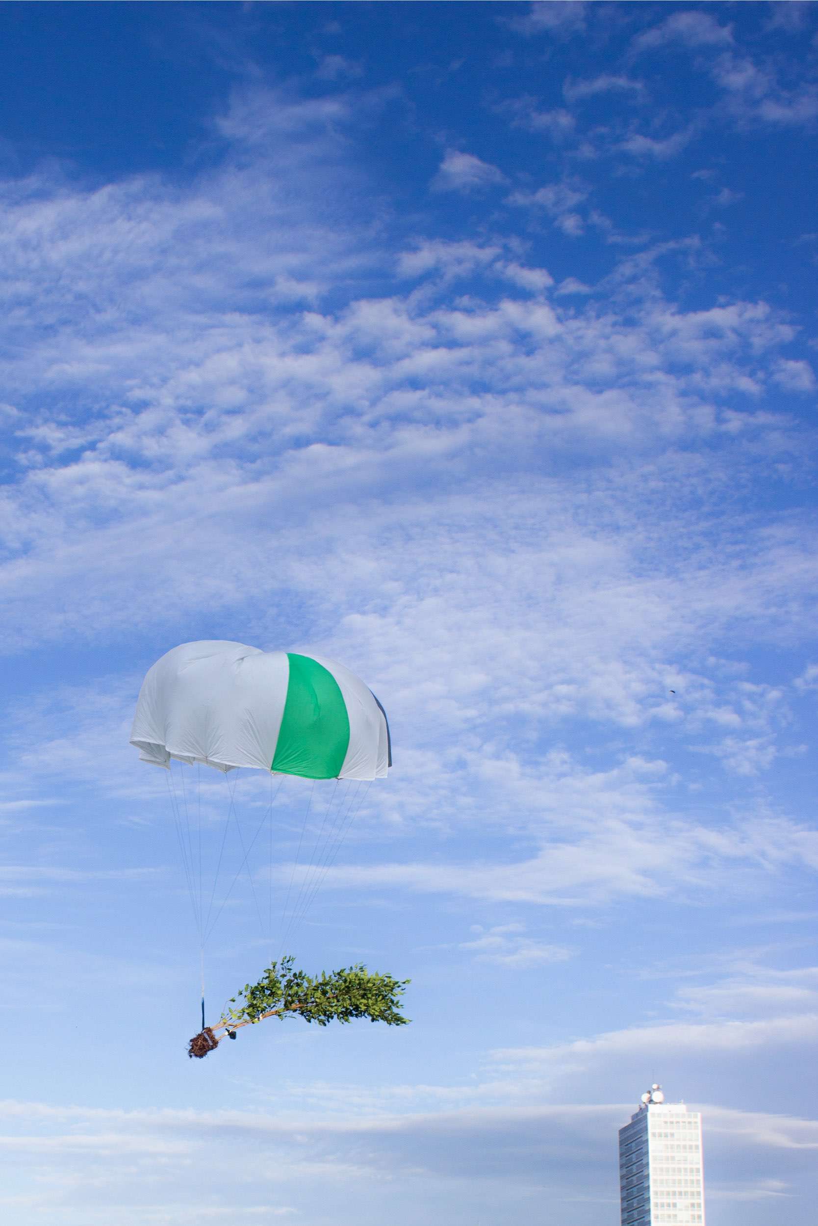 Jukai-Ryoko, "experiment with a ficus benjamini and a parachute", inkjet print on Hahnemühle Photo Rag 308, dimensions variable